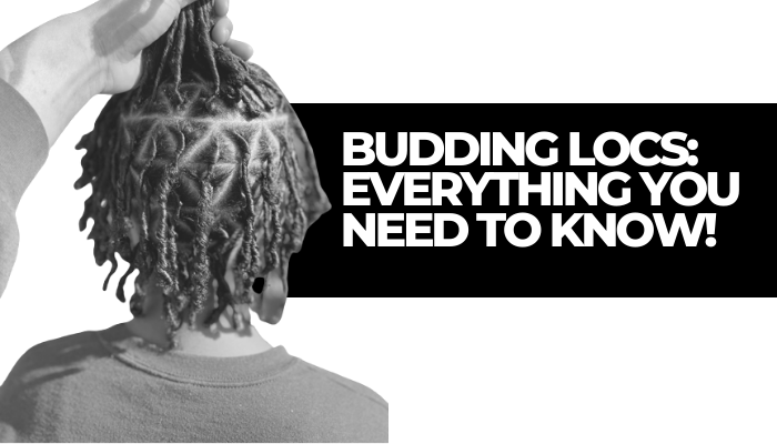 Budding Locs: Everything you Need to Know!