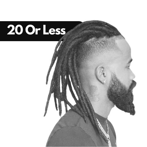 How Many Dreads Should I Have 1