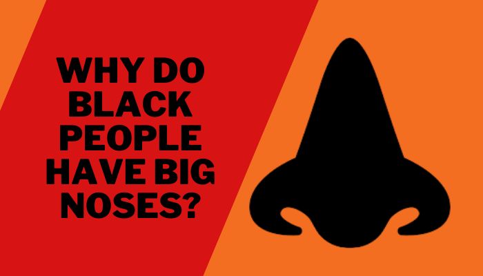 Why Do Black People Have Big Noses?