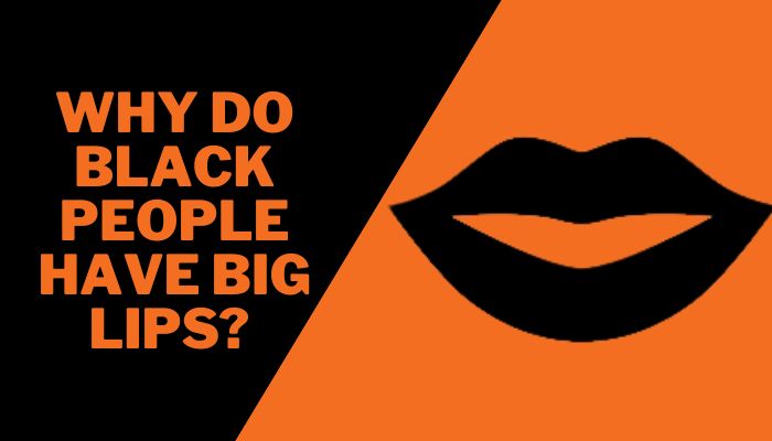 Why do Black People Have Big Lips?