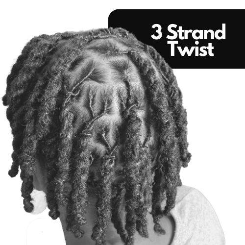 3 Strand Dreads 1