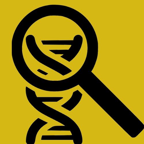 Best DNA Test for Black Ancestry 1