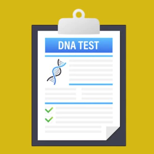 Best DNA Test for Black Ancestry 3