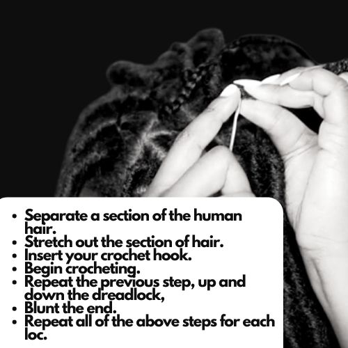 Crochet Dreadlocks 1