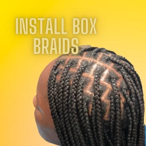 Regular Box Braids 1