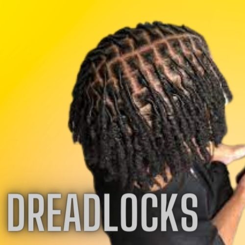 Starter Dreads 2