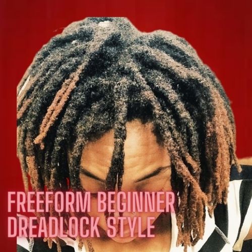 Starter Dreads Styles 2