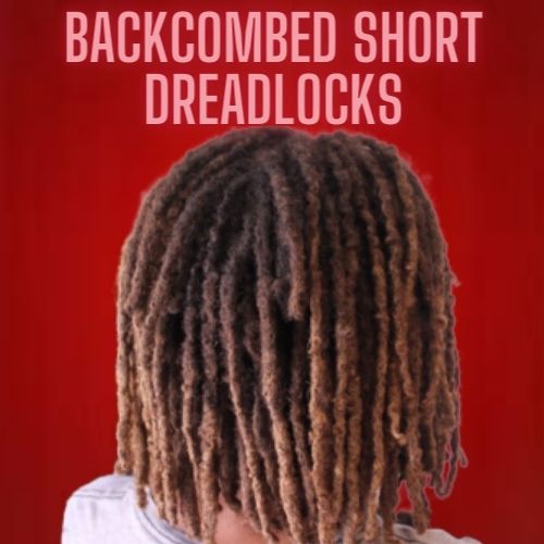 Starter Dreads Styles 5