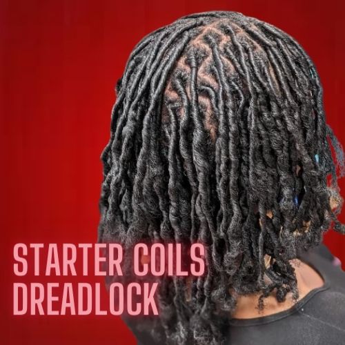 Starter Dreads Styles 6