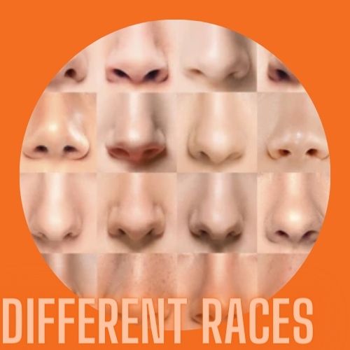 different-nose-shapes-race