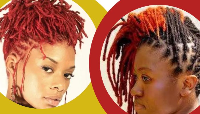 Bleached Dreads Tips