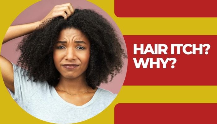 "Why Does Black People’s Hair Itch? Everything you Need to Know!"
