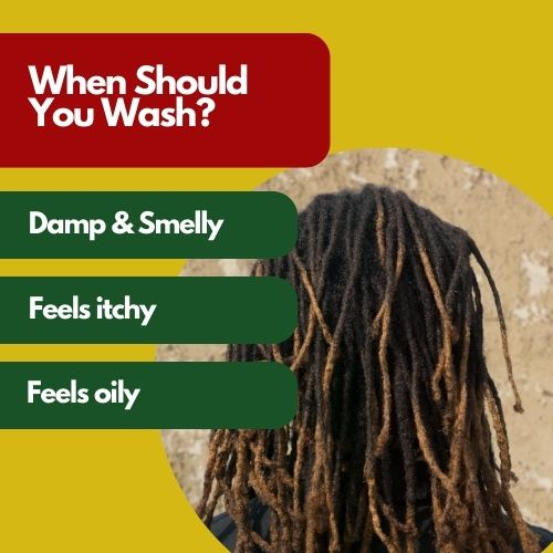 wash dreads 1