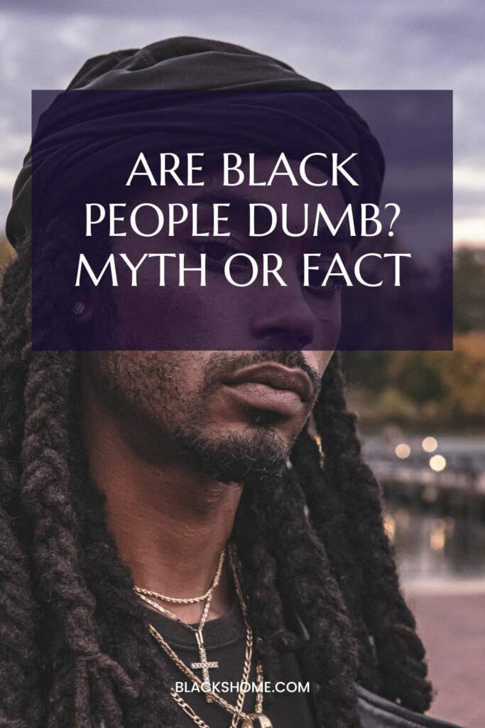 Black People Dumb 3