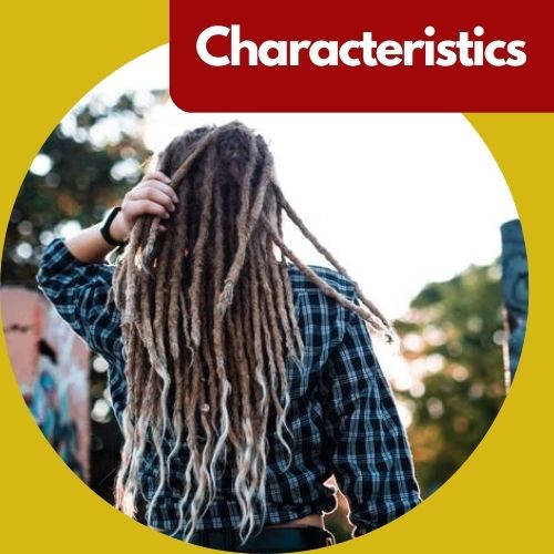 The Characteristics of Long Wick Dreads