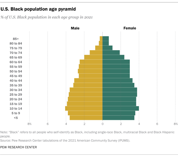 age distribution pyramid by race