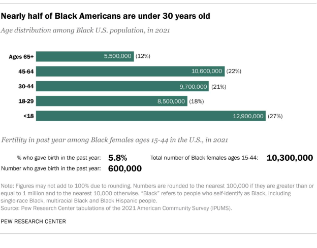 age distribution of black population