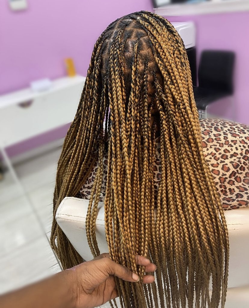 4. Roughly Parted Knotless Braids