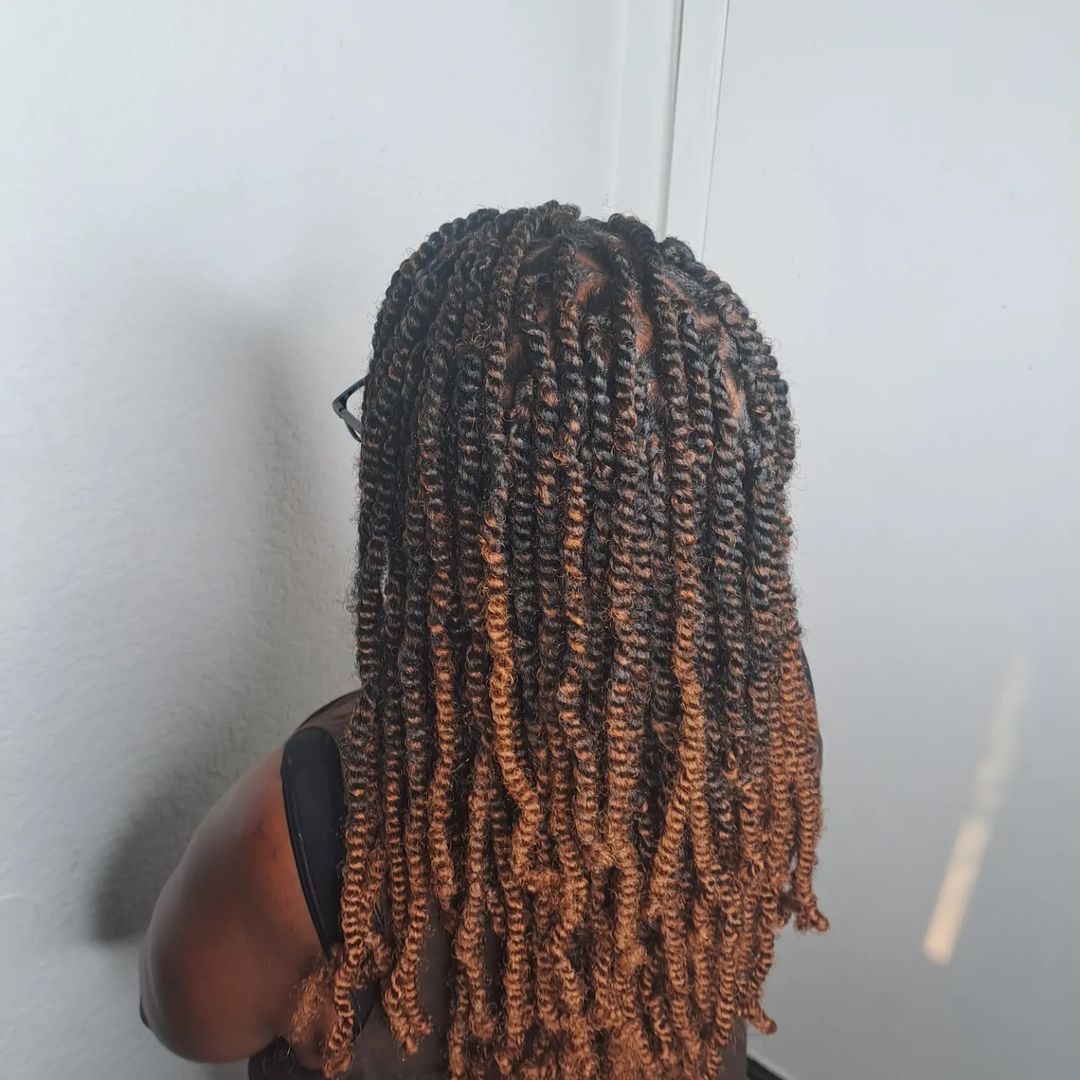 4. Black And Brown End Mini Two Strand Twist With Kinky
