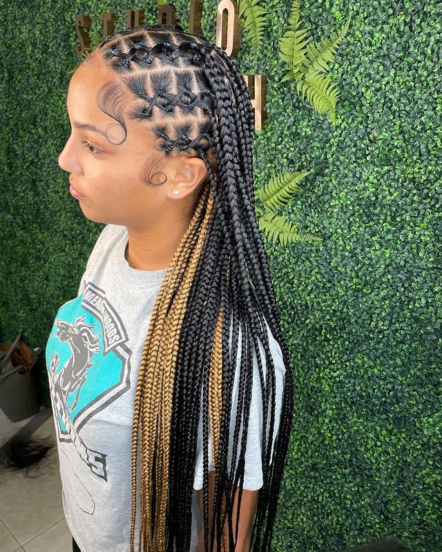 30 Criss Cross Knotless Braids For A Unique Twist » BlacksHome